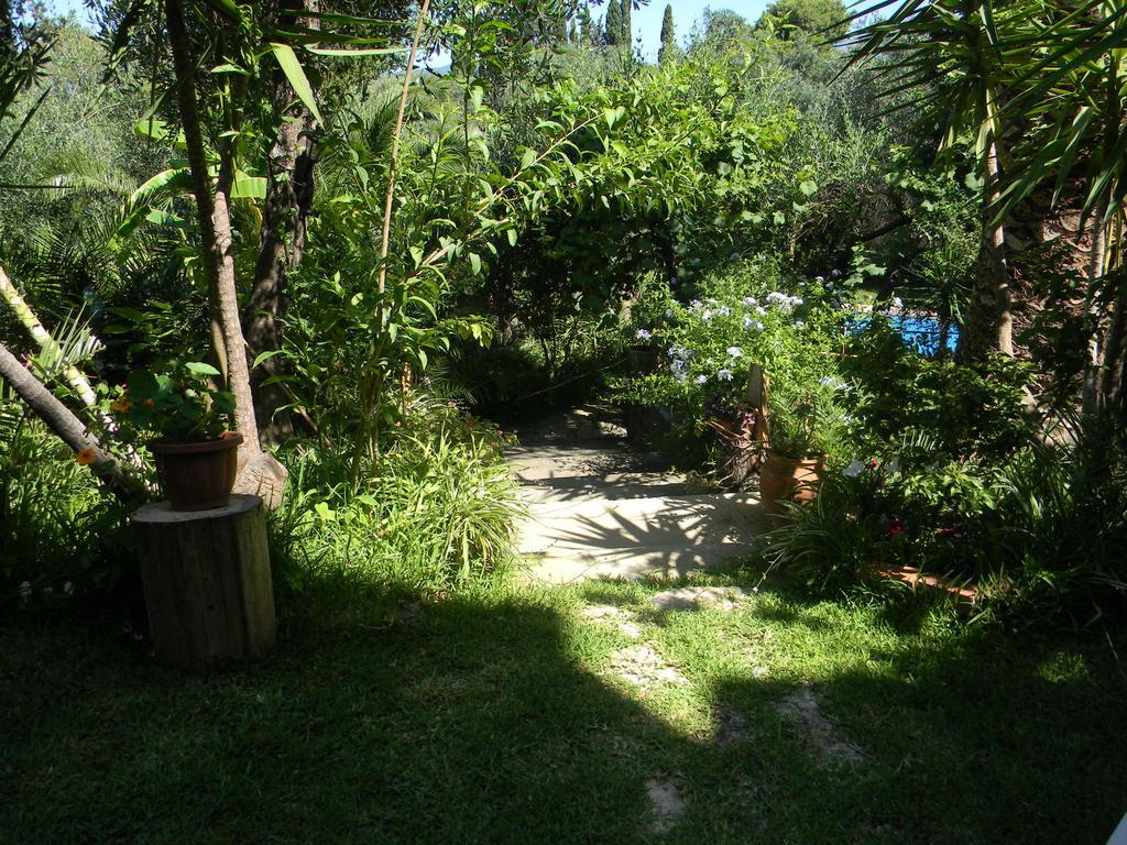 Villa Efterpi Kondókali Kültér fotó