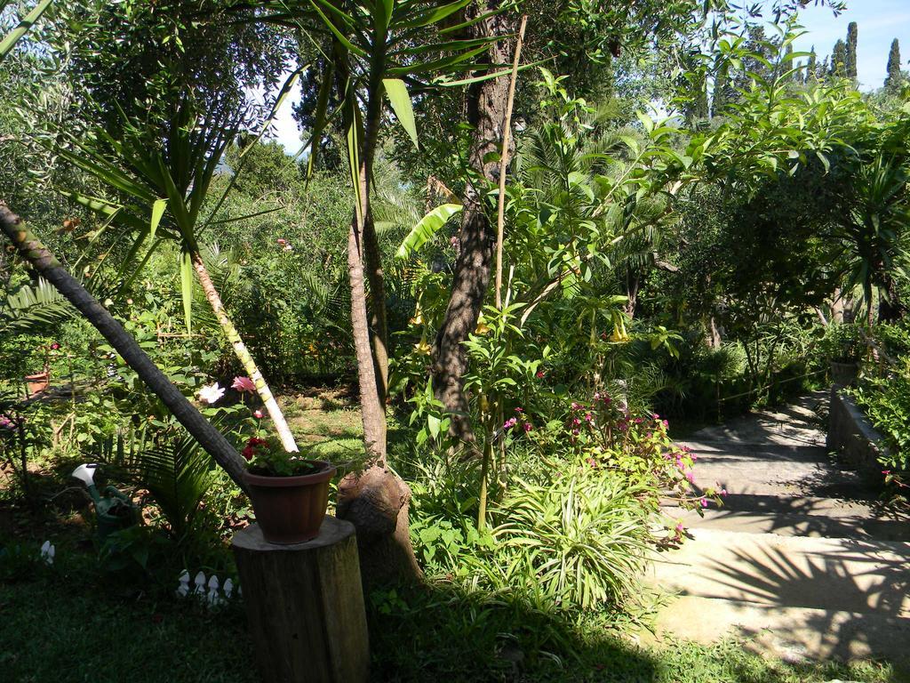 Villa Efterpi Kondókali Kültér fotó